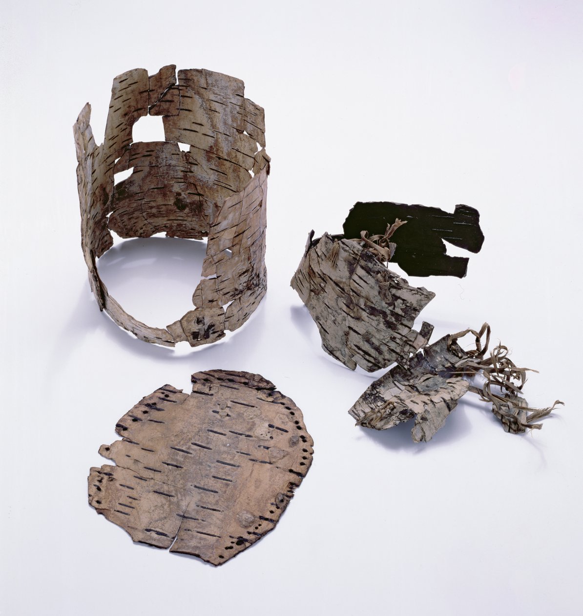 Nádoba z březové kůry nalezená s Oetzi Icemanem (bříza) od Copper Age