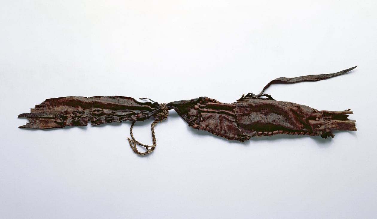 Fragment kůže nalezený s Oetzi Iceman (kůže) od Copper Age