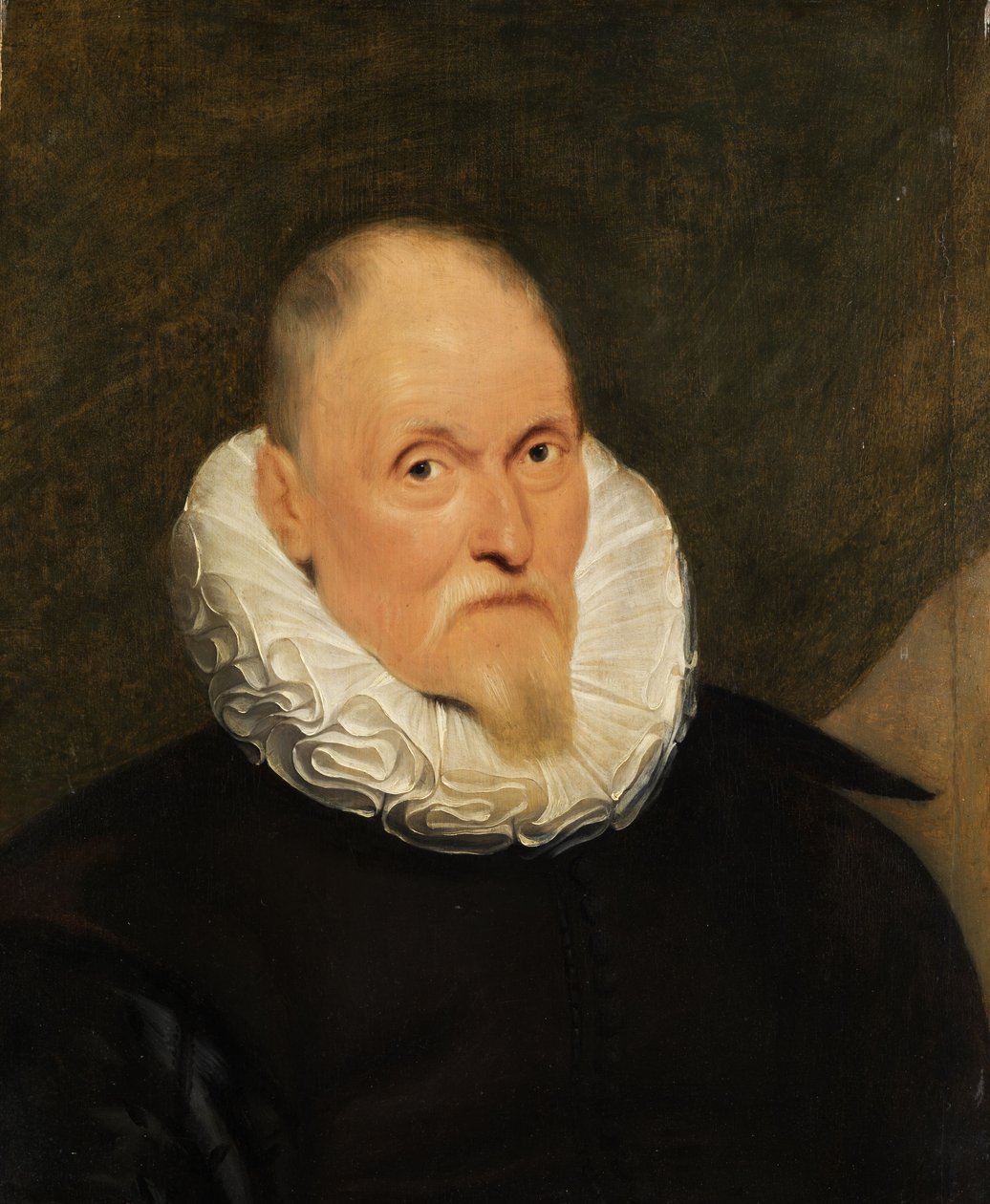 Portrét holandského gentlemana. od Cornelis de Vos