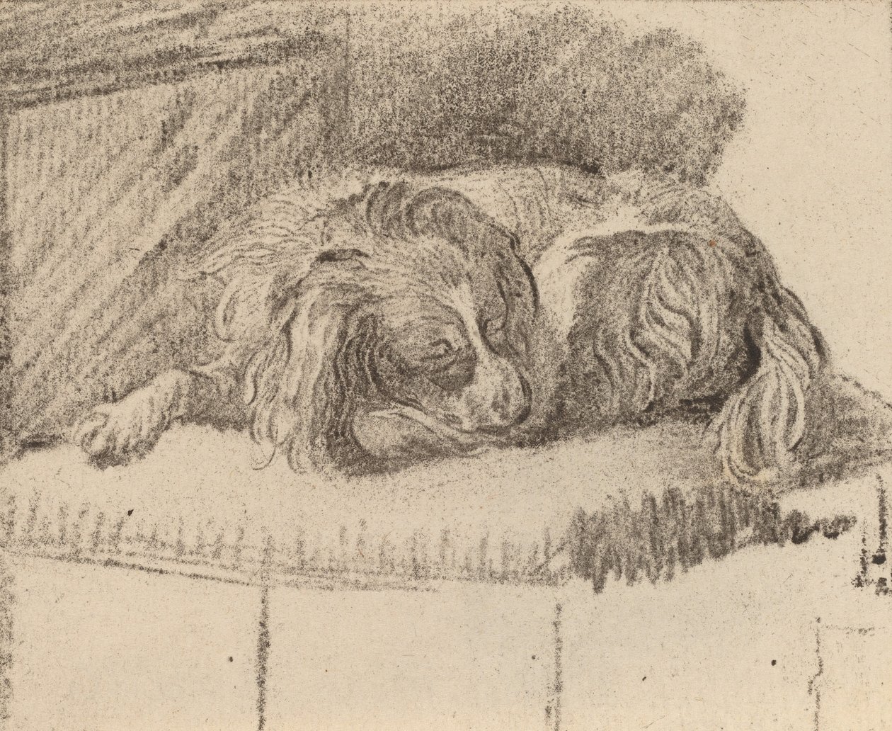 Ležící pes, 1777. od Cornelis Brouwer
