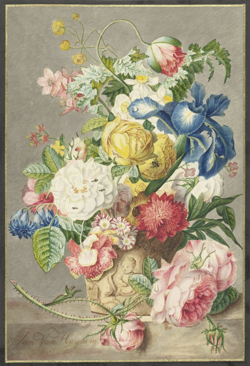 Kytice od Cornelis Ploos van Amstel