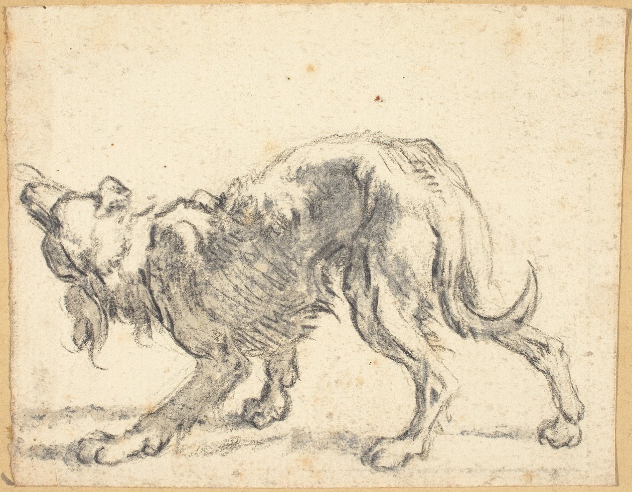 Pes od Cornelis Saftleven