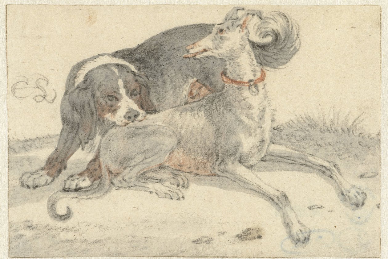 Greyhound a koroptev pes od Cornelis Saftleven