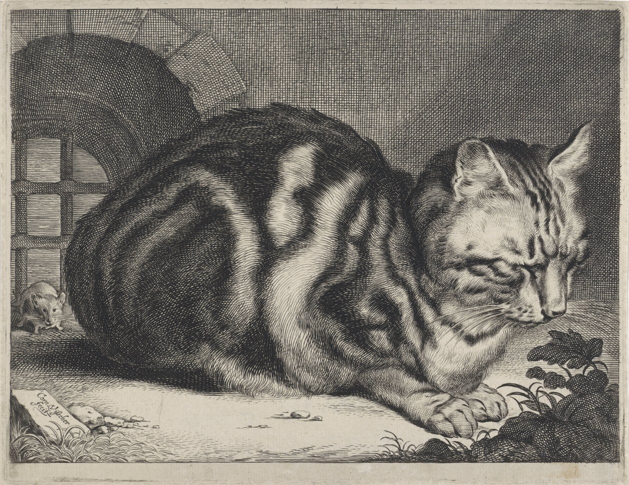 Velká kočka od Cornelis Visscher (II)