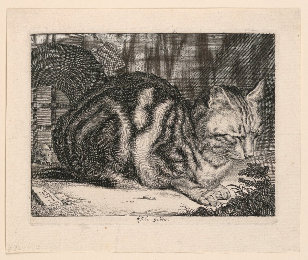 Velká kočka od Cornelis Visscher