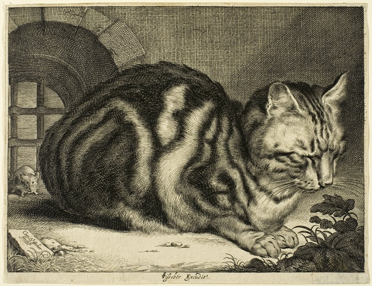 Velká kočka od Cornelis Visscher