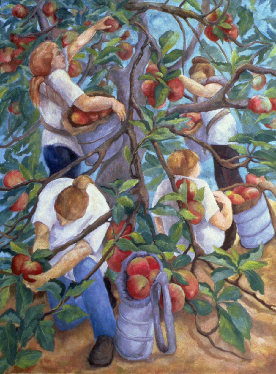 Sběrači jablek, 1996 od Cristiana Angelini
