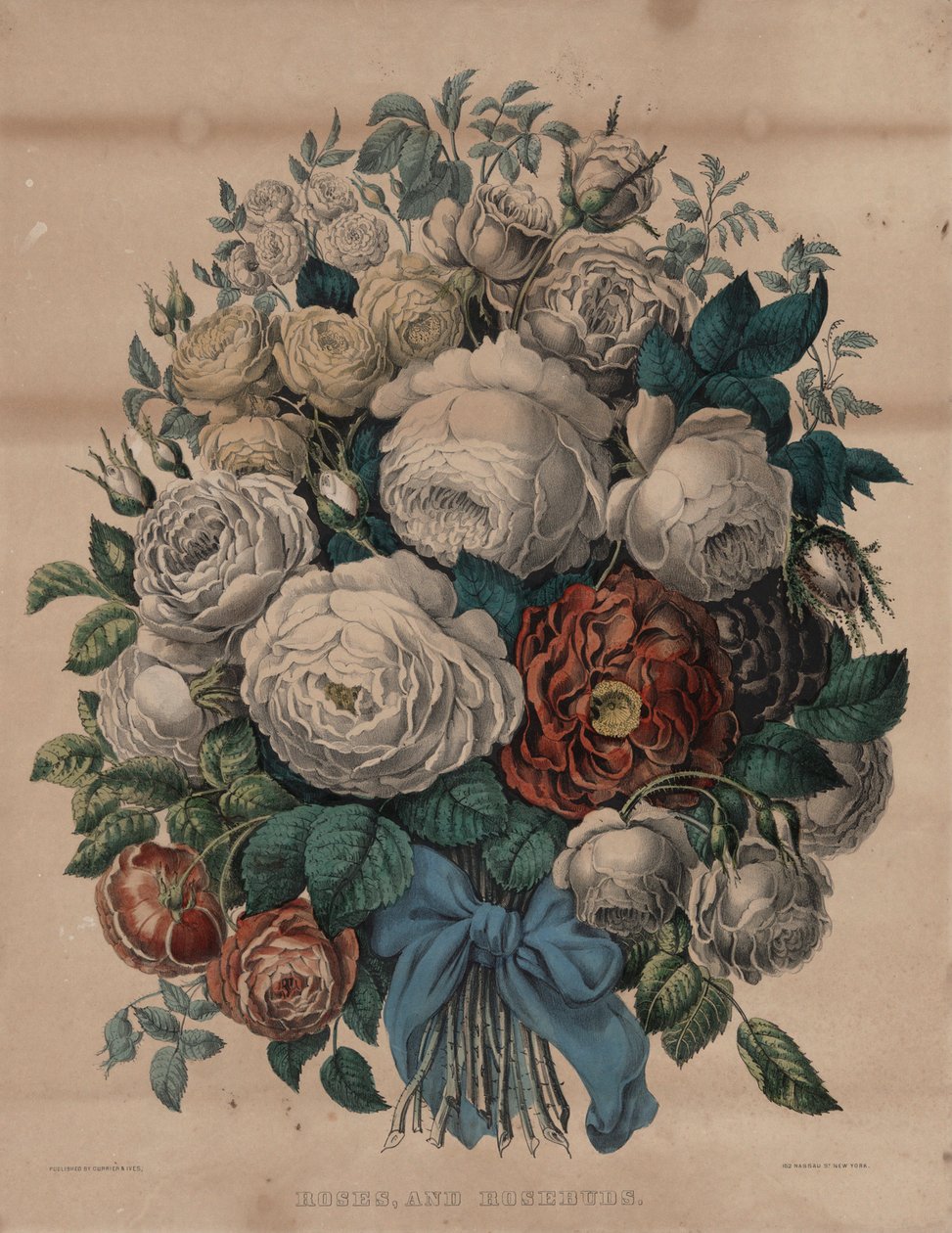Růže a poupata od Currier and Ives