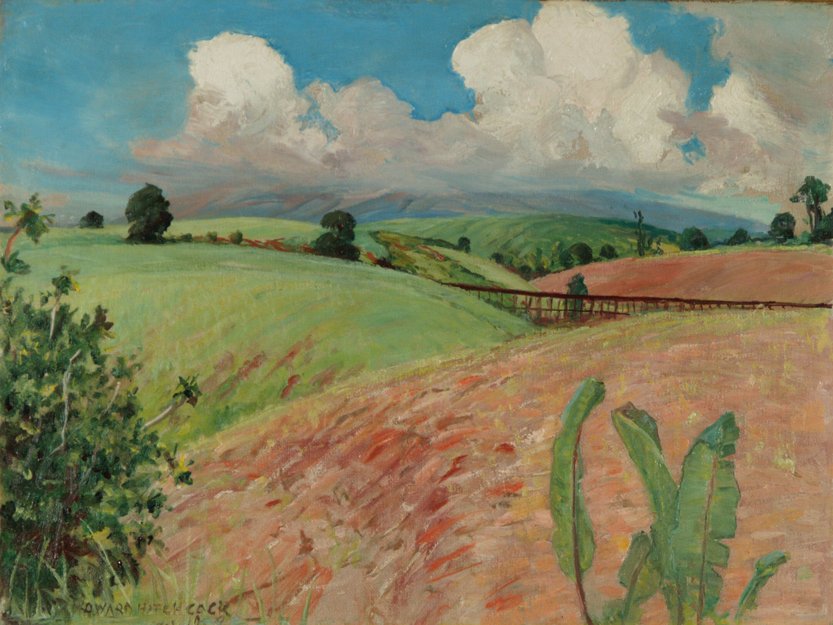 Canefields, Big Island od D. Howard Hitchcock