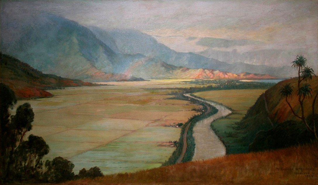 Údolí Hanalei od D. Howard Hitchcock