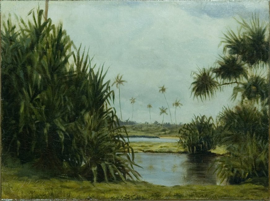 Zátoka Hilo od D. Howard Hitchcock
