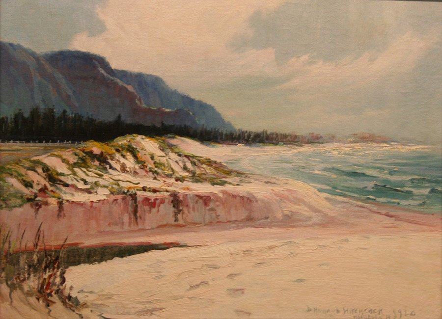 Pláž ve Waimanalu od D. Howard Hitchcock