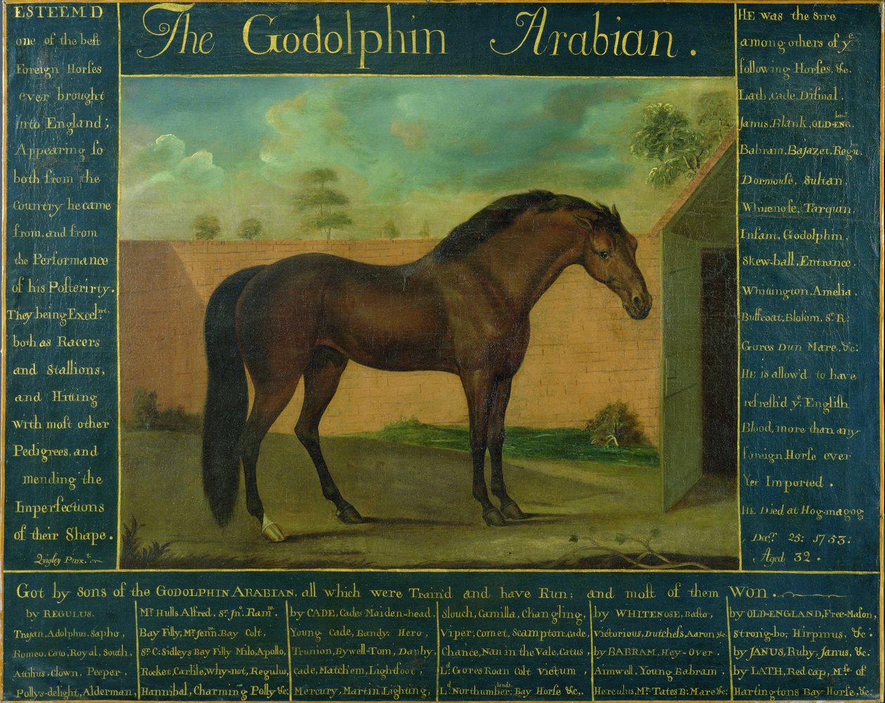 Arabský Godolphin od D. Quigley