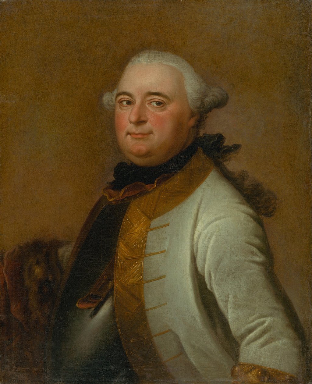 Portrét Field Marshal Mikuláš Mednyánszky od Daniel Woge