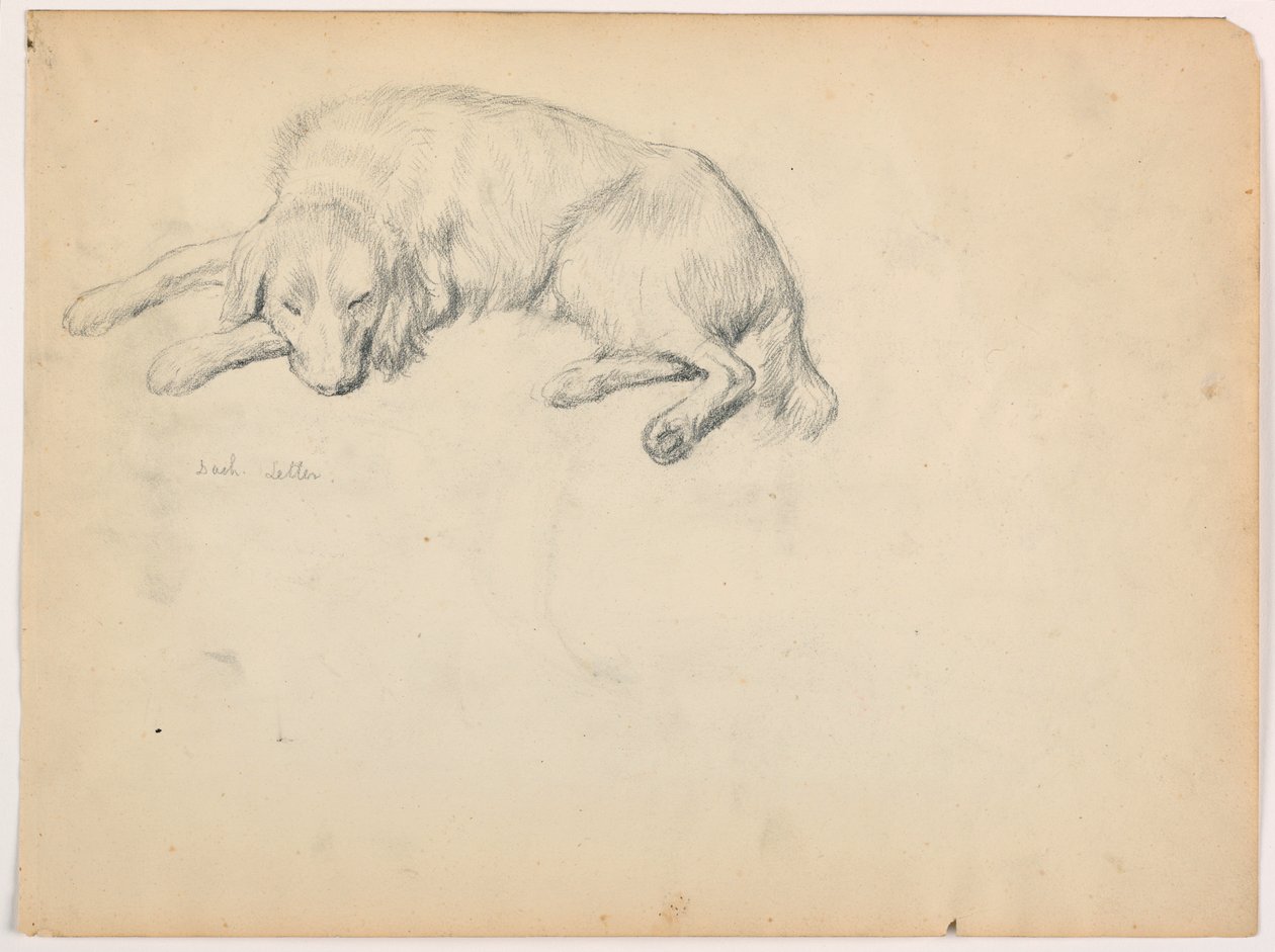 Kresba, Dash (setr), asi 1862 od Daniel Huntington