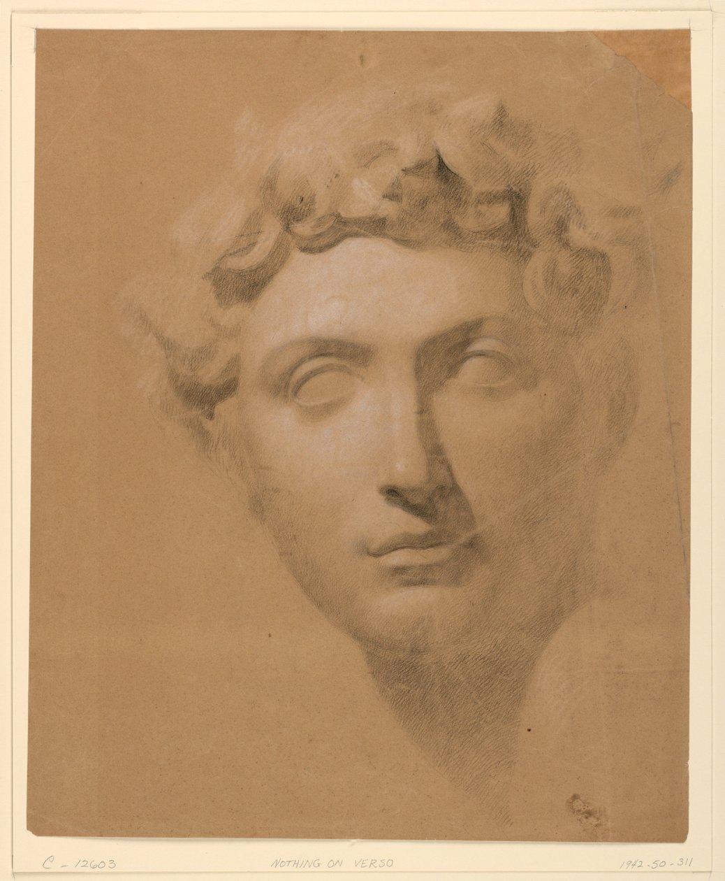 Kresba, Mužská hlava ze sádry, 1840 od Daniel Huntington