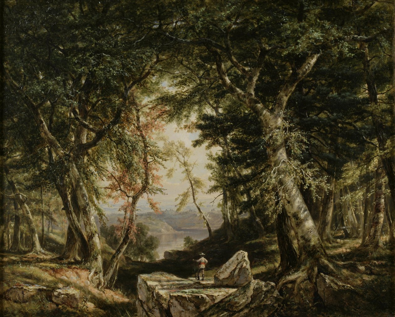 Záblesky z lesa, 1856 od Daniel Huntington