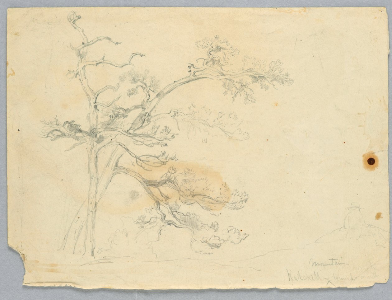 Studie dvou borovic, Catskill Mountains od Daniel Huntington