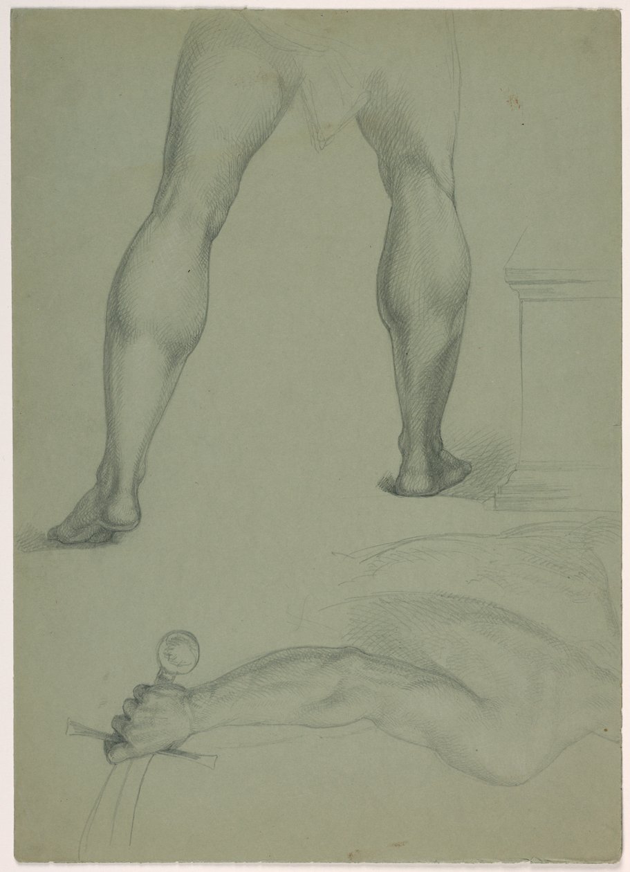 Dvě dílčí anatomické studie od Daniel Huntington