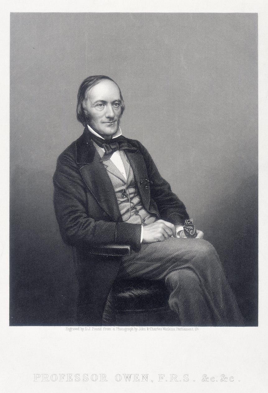 Sir Richard Owen, anglický zoolog, c1860. od Daniel John Pound