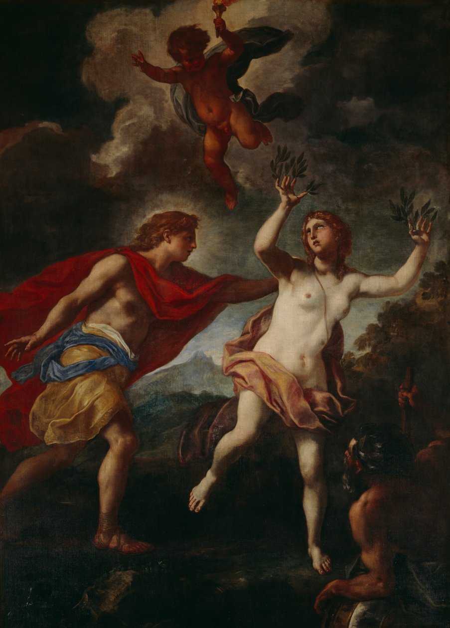 Apollo a Daphne (olej na plátně) od Daniel Seiter