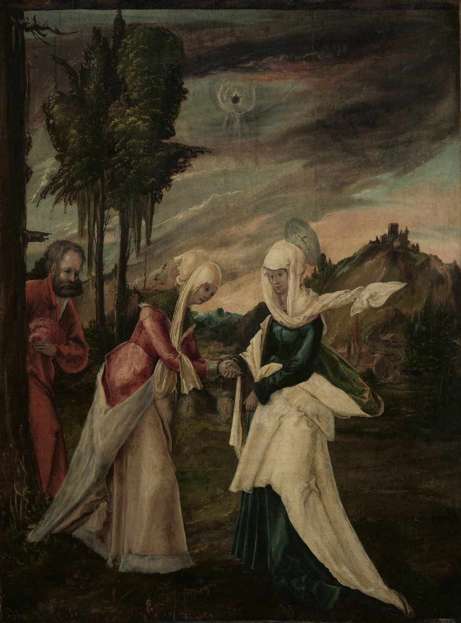Navštívení, asi 1530-1550 (olej na dřevě) od Danube School