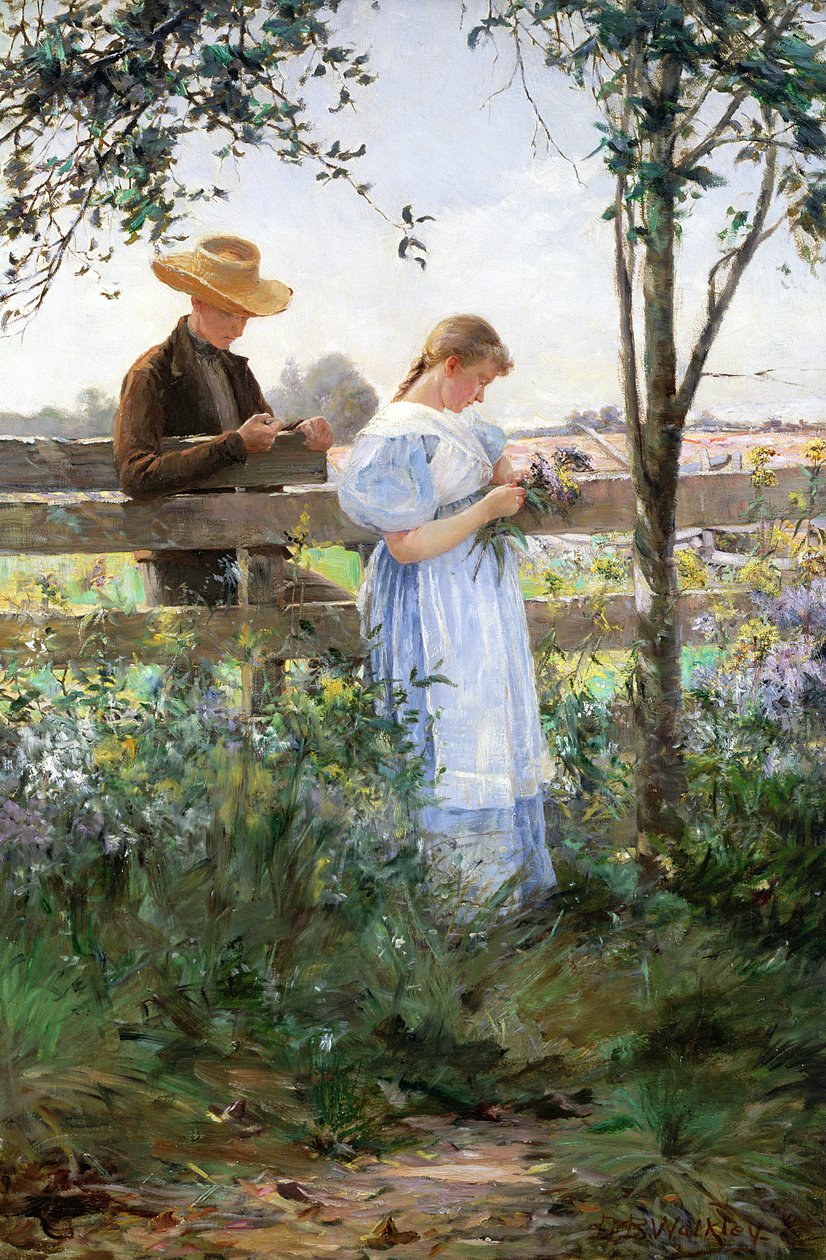 Venkovská romance od David B. Walkley