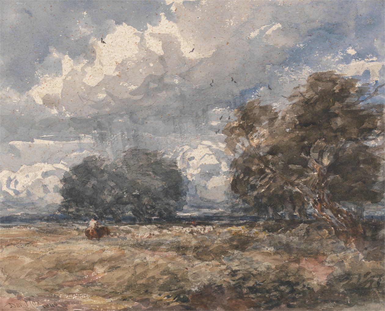 Pastýřství, větrný den od David Cox