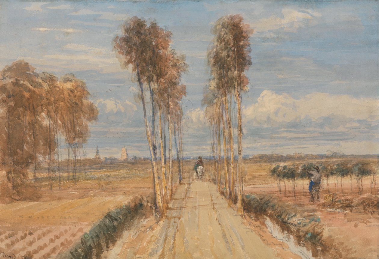 Topolová alej, podle Hobbema od David Cox