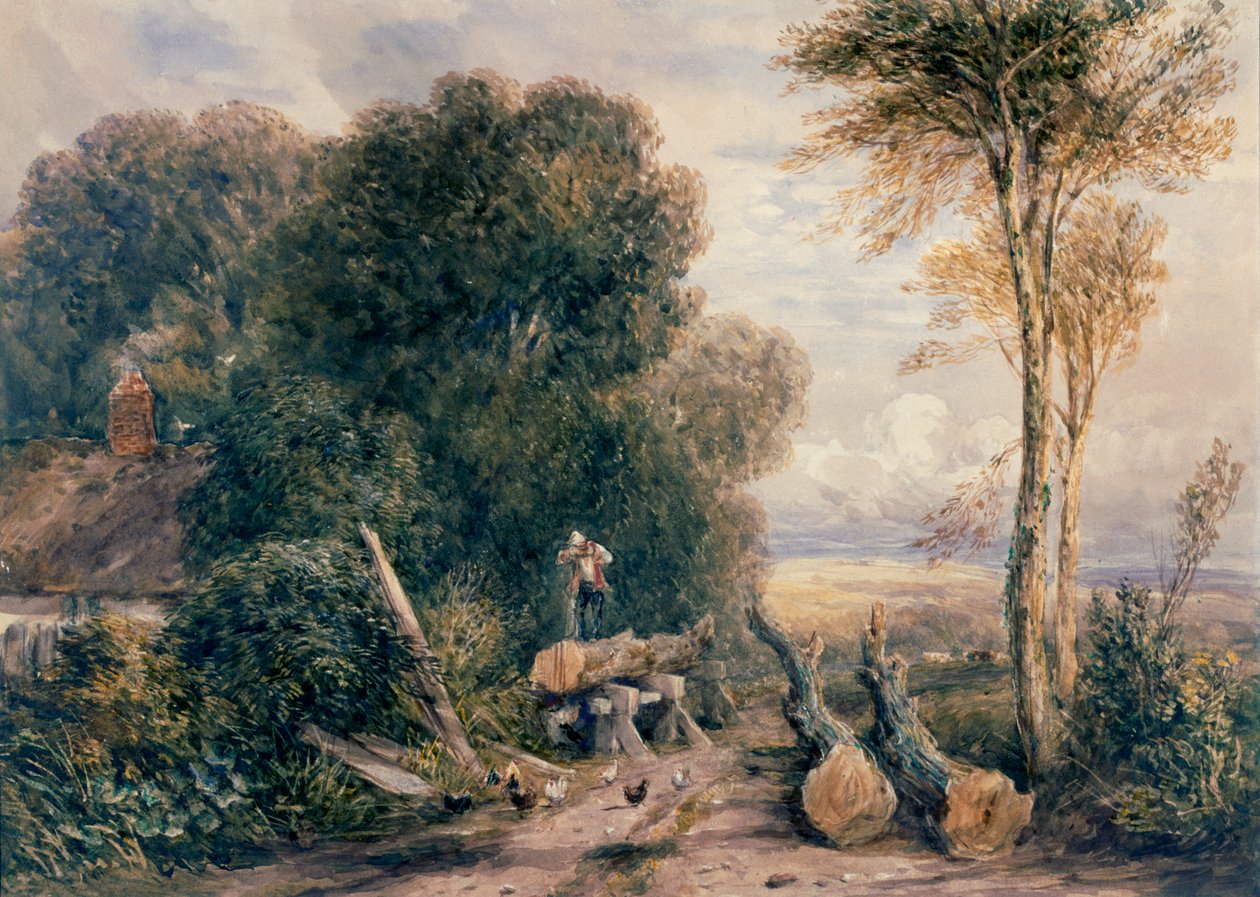 Pila Pit od David Cox