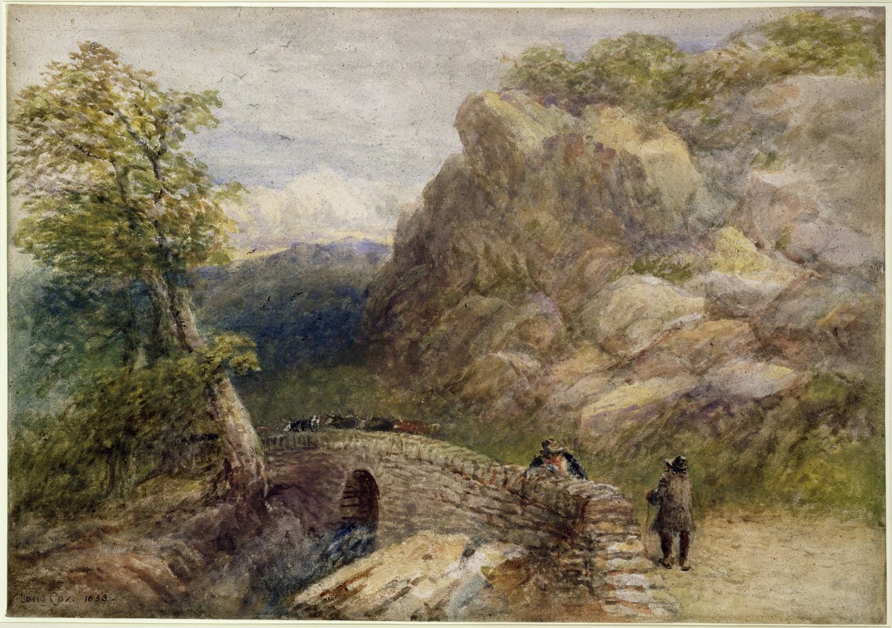 Pohled v severním Walesu, 1858 od David Cox