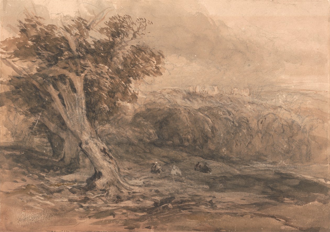 Hrad Warwick od David Cox