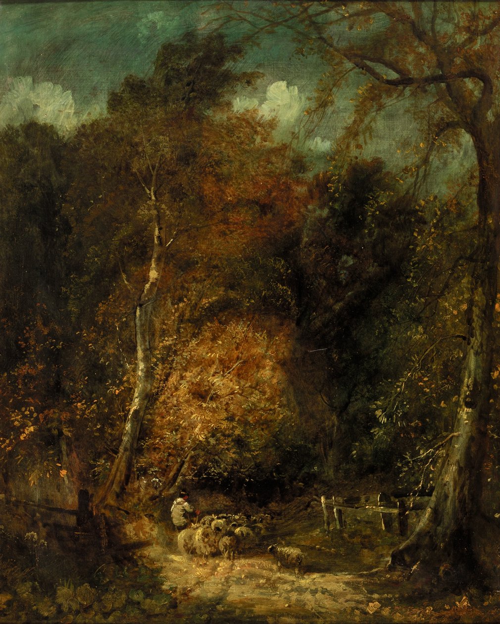 Zalesněná krajina od David Cox