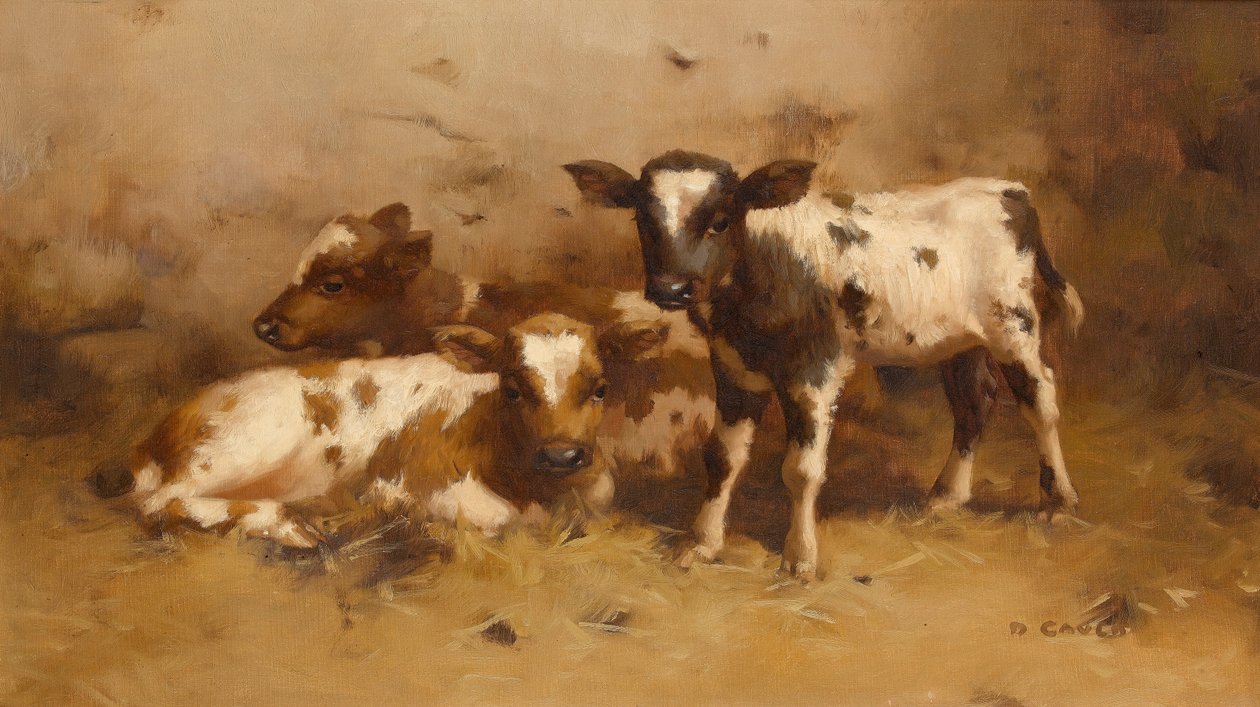 Tři telata ve stodole od David Gauld