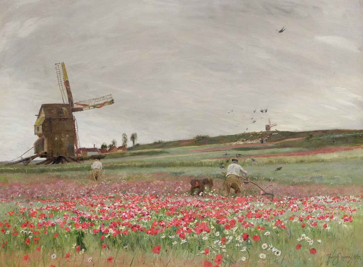Makové pole, 1886 od David Murray