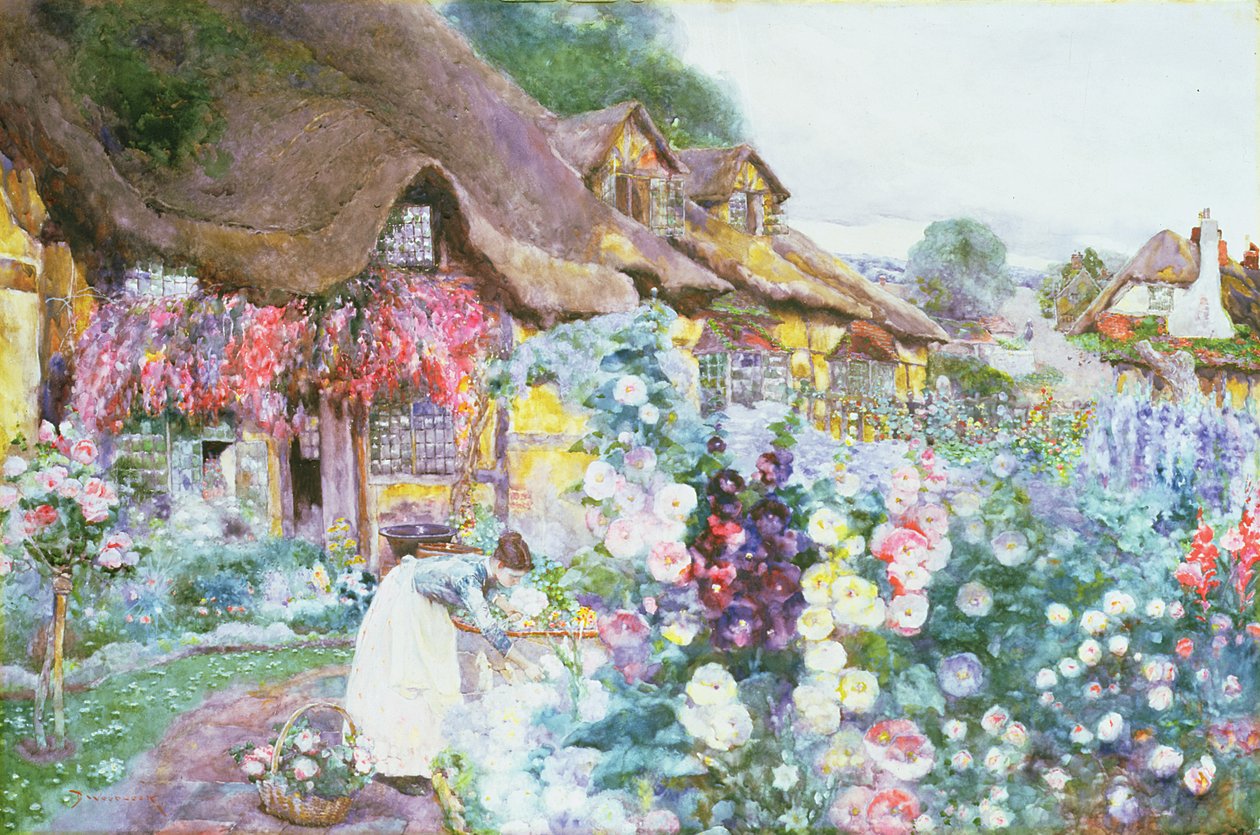 Chatová zahrada od David Woodlock