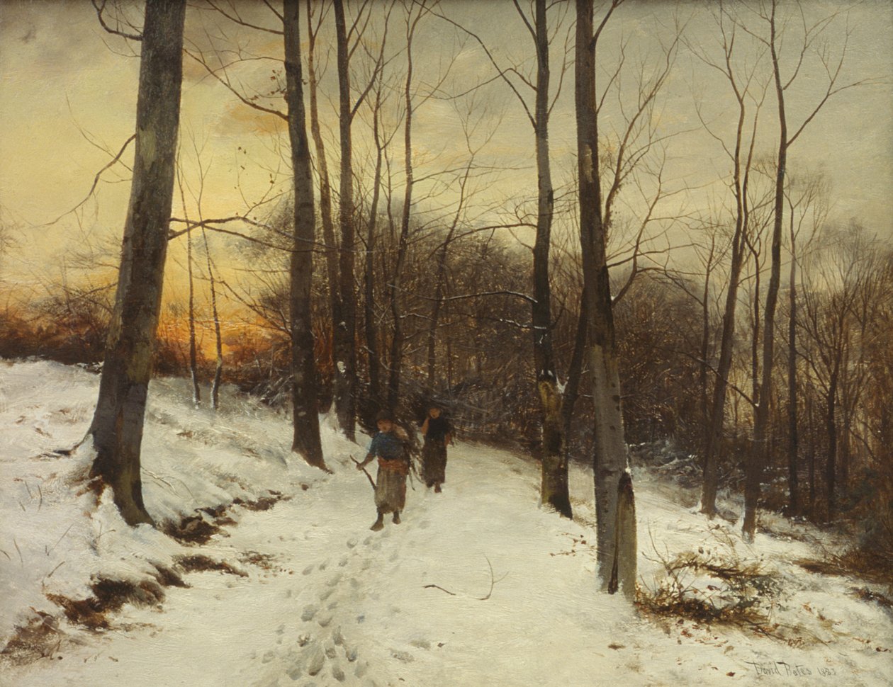 Malvern Woods (olej) od David Bates