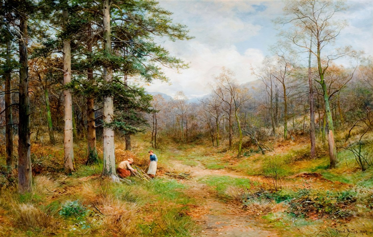 On The Long Mynd, Church Stretton, 1907. od David Bates