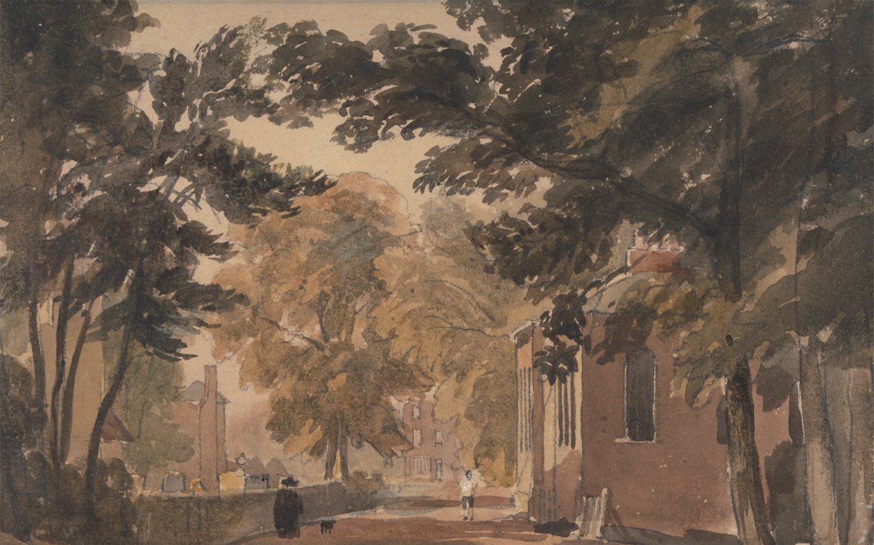 Ulice v Harborne od David Cox