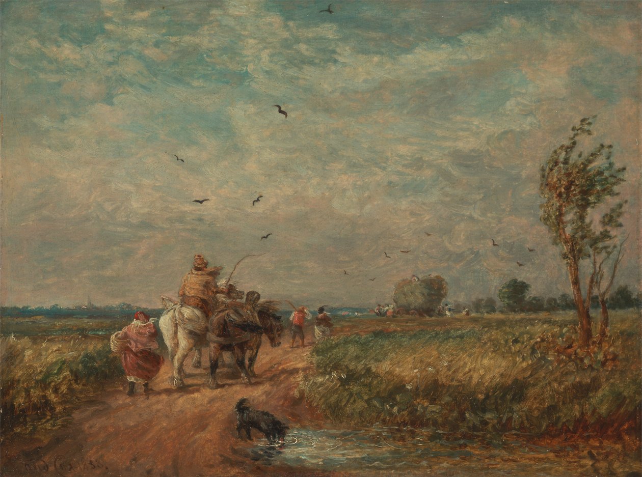 Jdu do Hayfieldu od David Cox