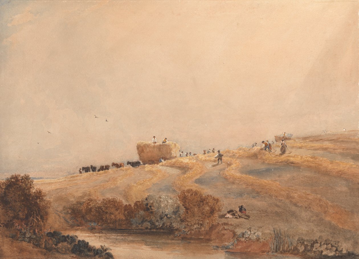 Senoseč od David Cox