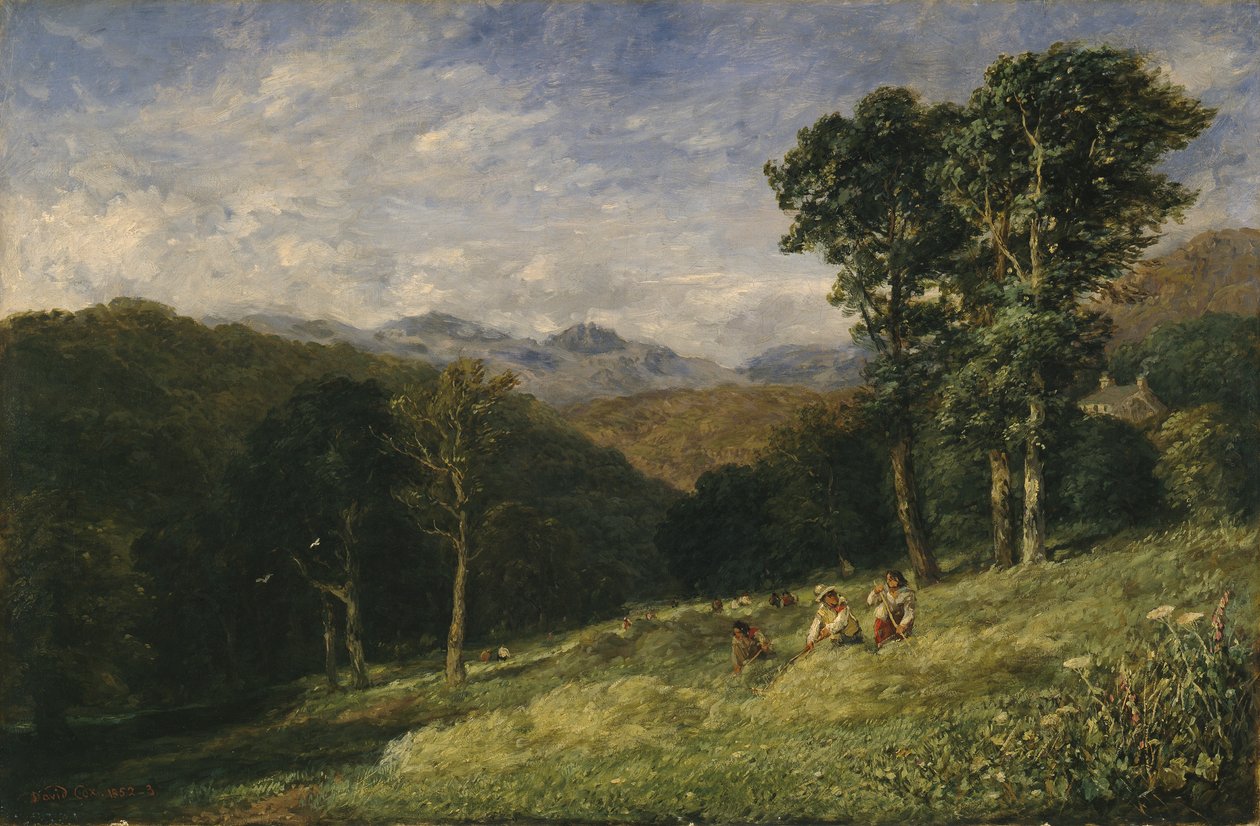 Senoseč poblíž Conway od David Cox