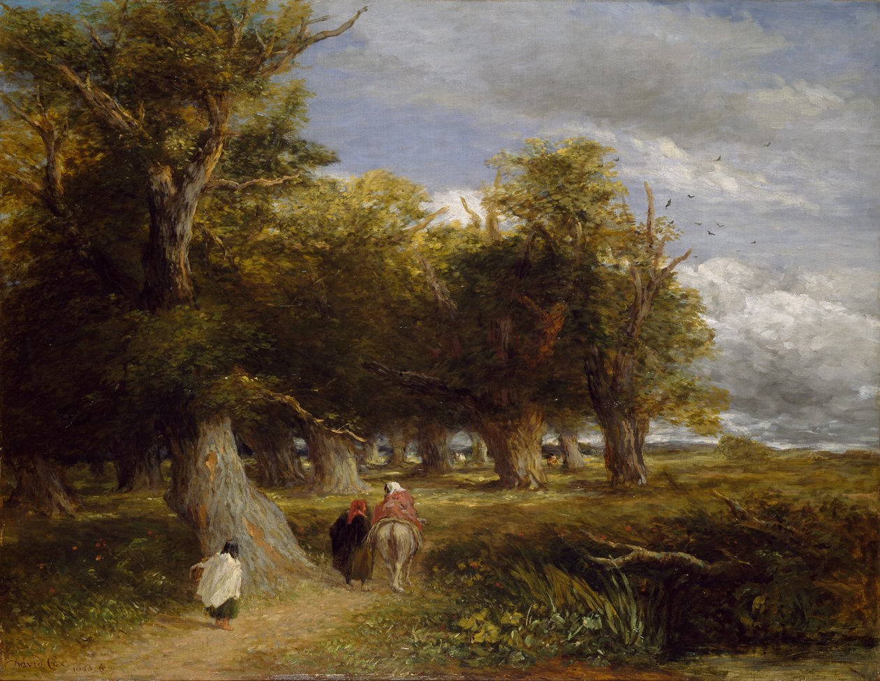 Sukně lesa, 1855 od David Cox