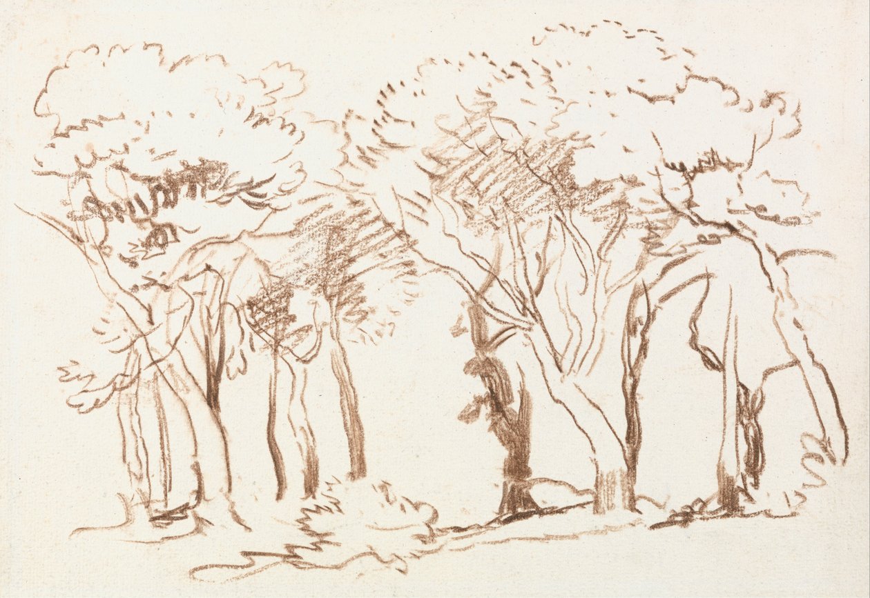Studium stromů od David Cox