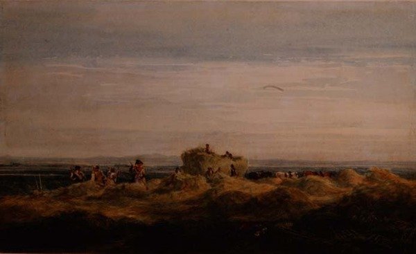 Hayfield od David Cox