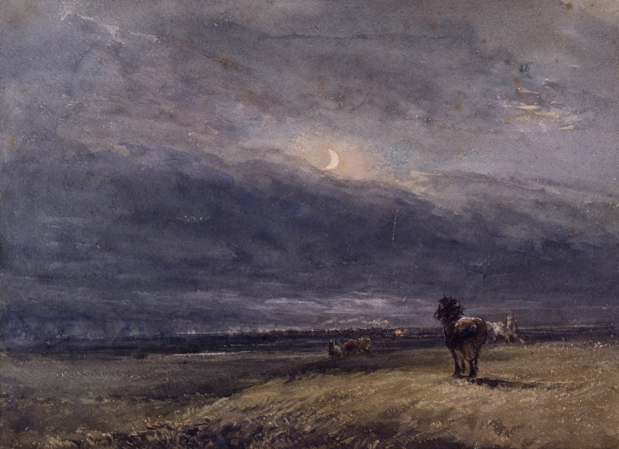 Noční vlak od David Cox