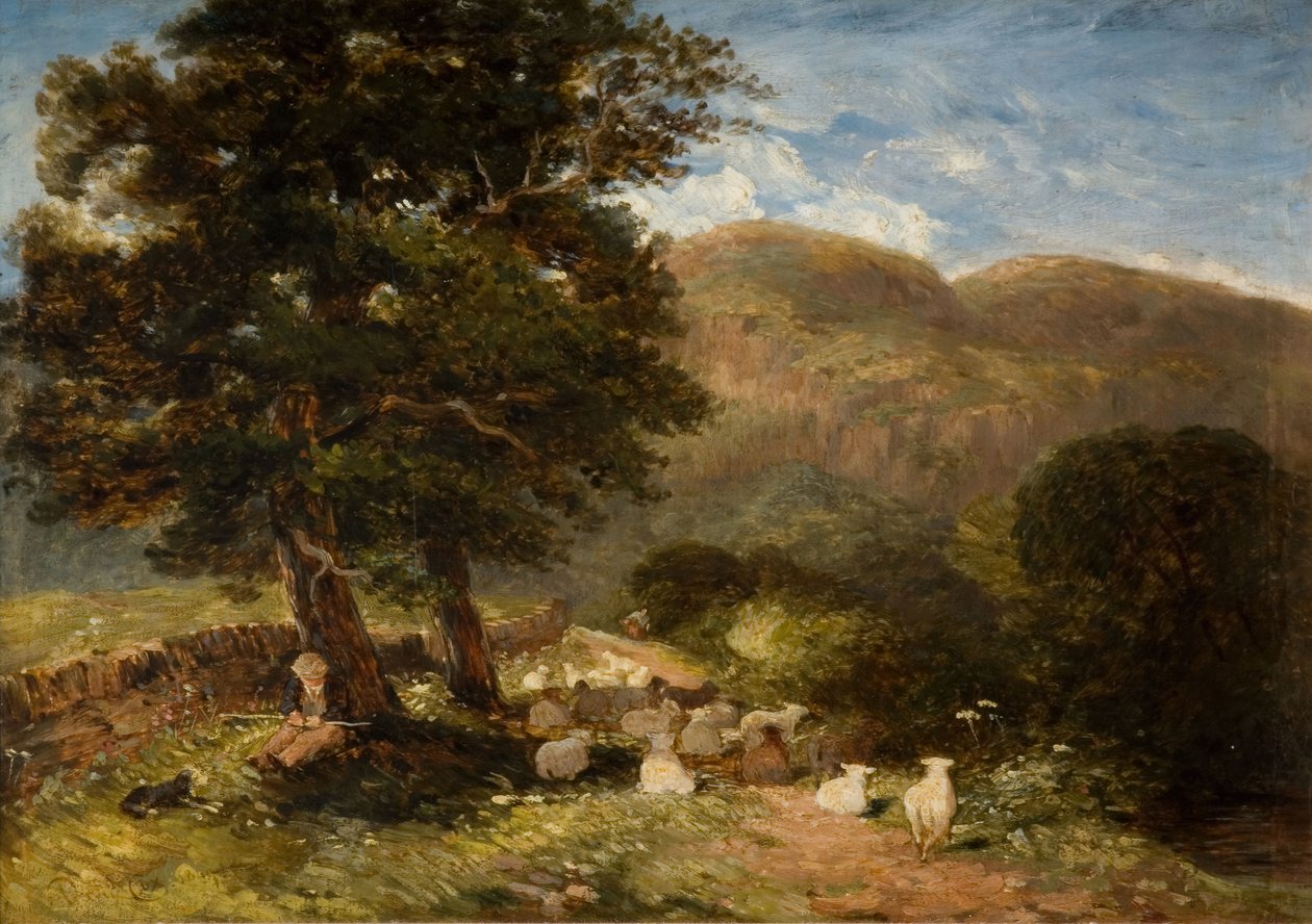 Péče o ovce, Bettws-y-Coed, 1849. od David Cox the elder