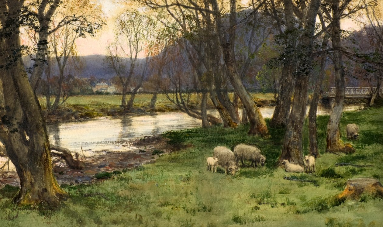 Achray od David Farquharson