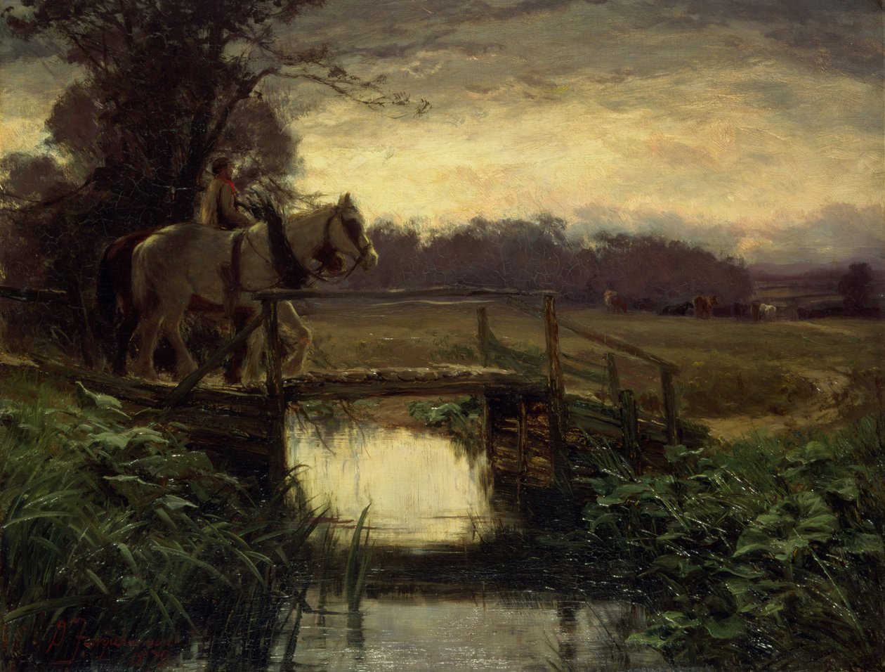 Šedé ráno od David Farquharson