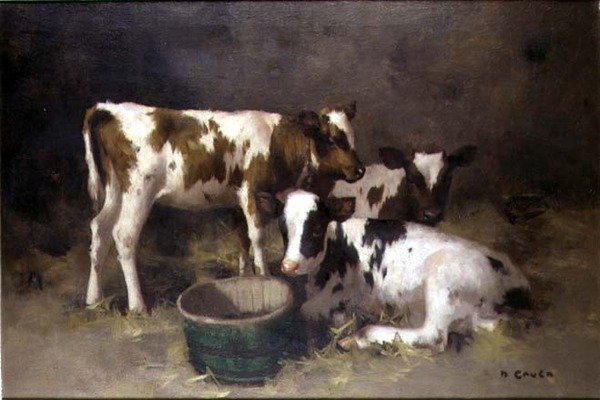 Tři telata (olej na plátně) od David Gauld